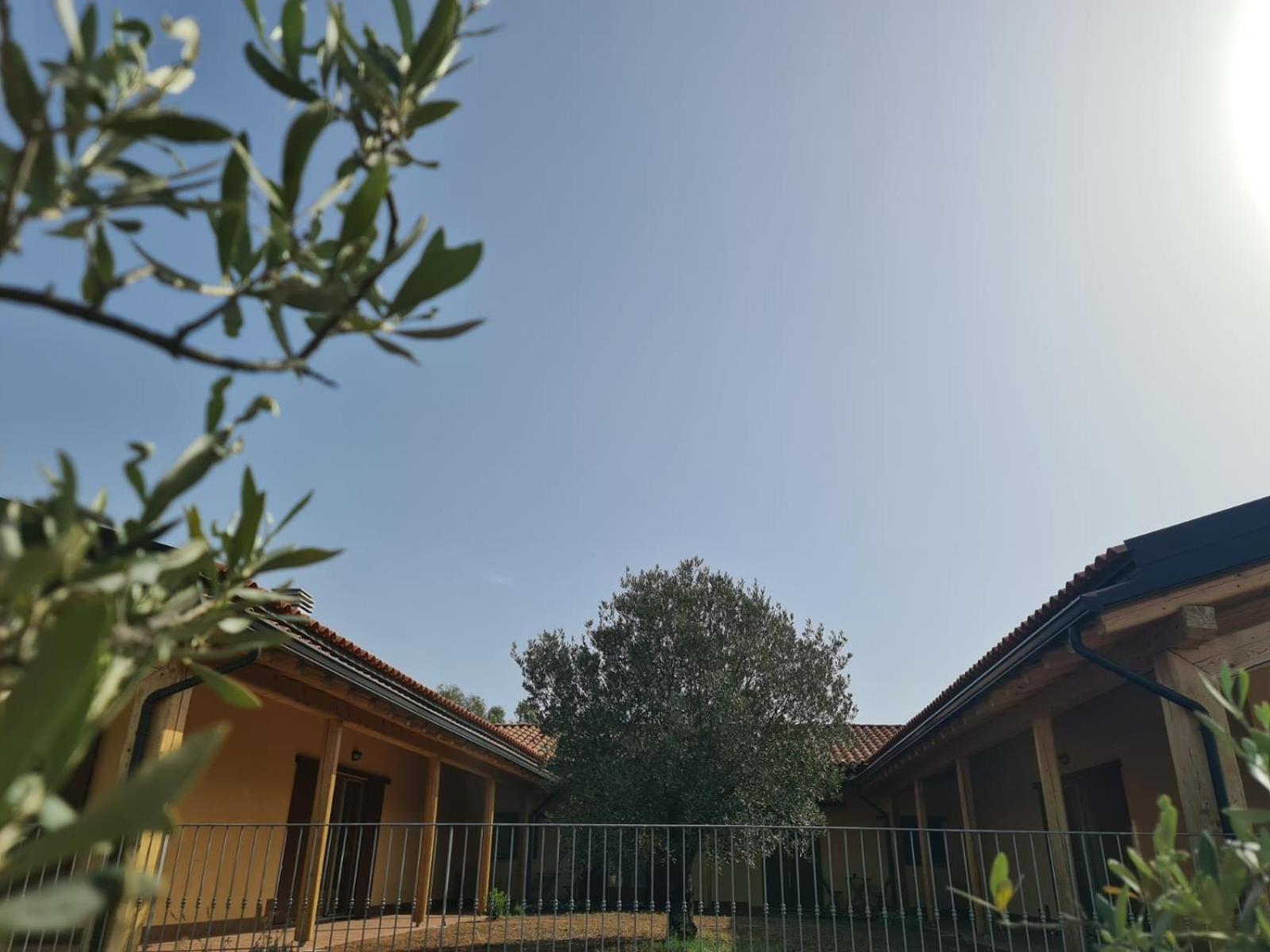 Agriturismo Corte Degli Ulivi Capoterra Εξωτερικό φωτογραφία