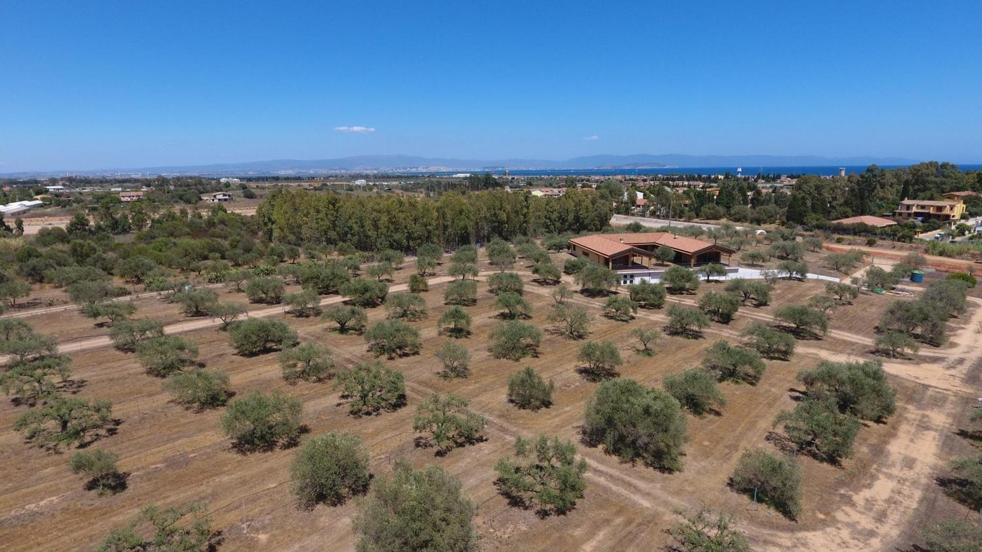 Agriturismo Corte Degli Ulivi Capoterra Εξωτερικό φωτογραφία